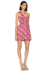 Alyssa Dress