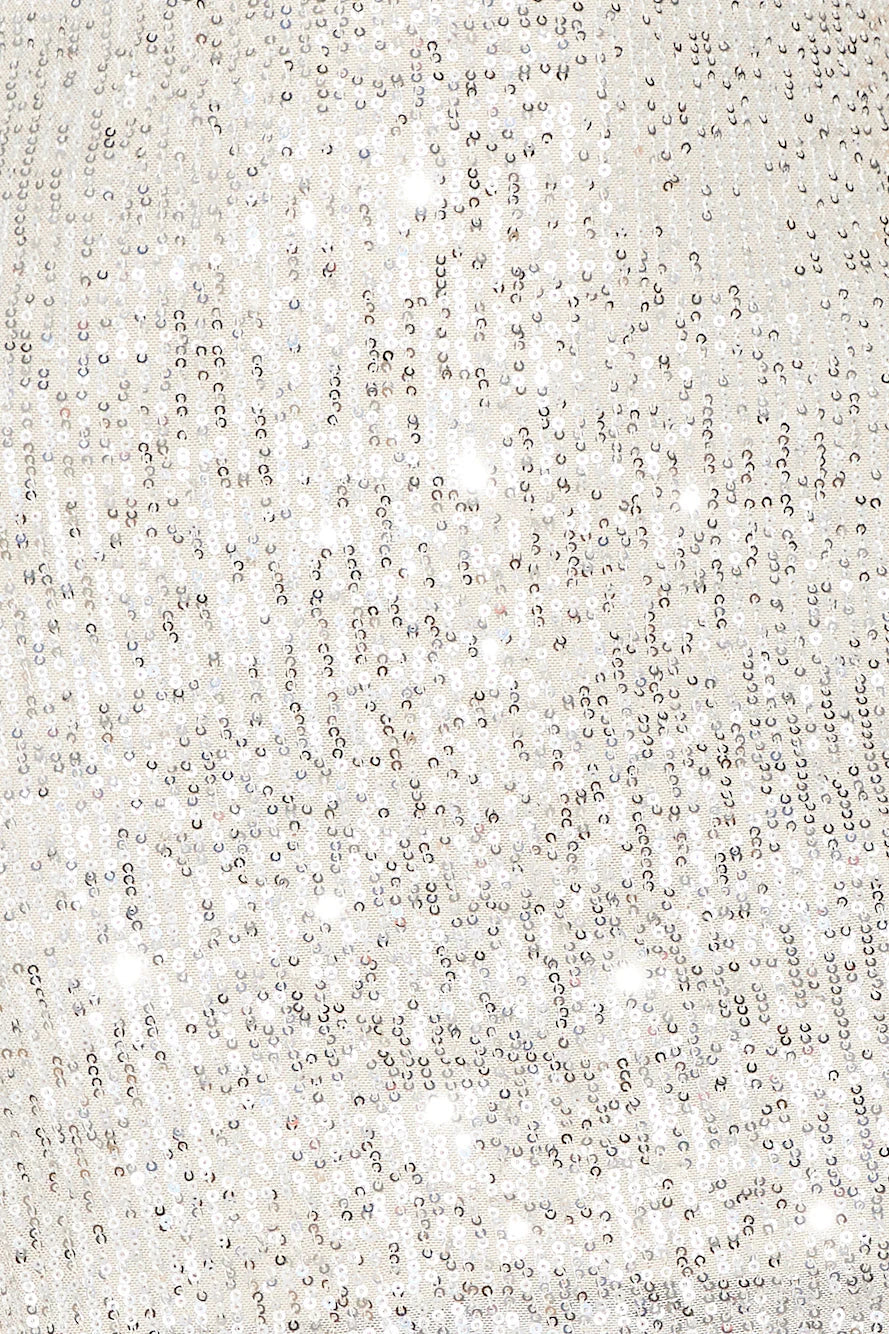 Sparkles Flying Sequins Mini Dress Silver