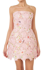 Printed Lace Mini Dress